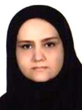شهسواری
